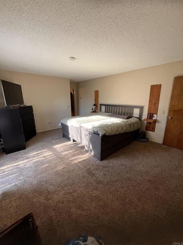 8606 Valley View Trl, Pine Valley, CA 91962 - bedroom with carpet and a textured ceiling