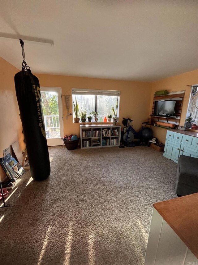 8606 Valley View Trl, Pine Valley, CA 91962 - view of carpeted living area