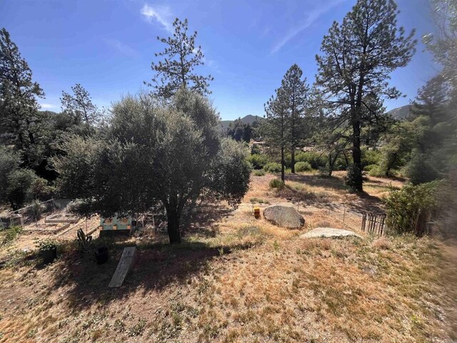 8606 Valley View Trl, Pine Valley, CA 91962 - view of undeveloped land
