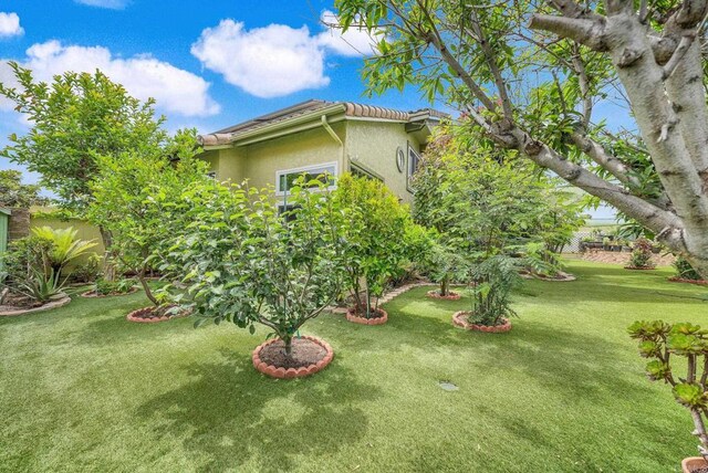 653 Diamond Dr, Chula Vista, CA 91911 - view of grassy yard