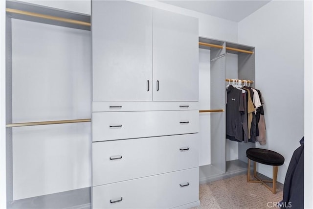 23 Fawnridge Pl, Aliso Viejo, CA 92656 - view of spacious closet