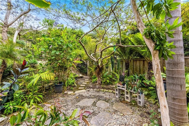 814 El Berro, San Clemente, CA 92672 - view of yard