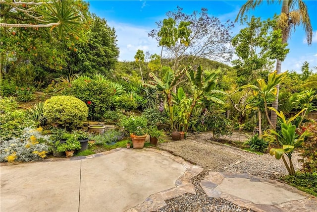 814 El Berro, San Clemente, CA 92672 - photo 41
