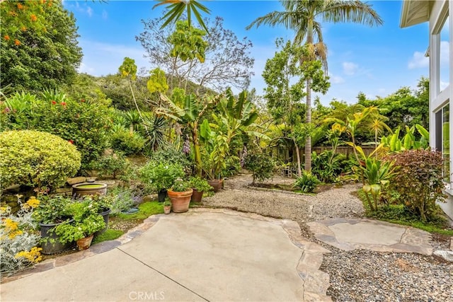 814 El Berro, San Clemente, CA 92672 - photo 37