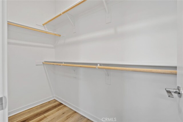 536 Caleigh Ln, Costa Mesa, CA 92627 - walk in closet featuring light wood-type flooring