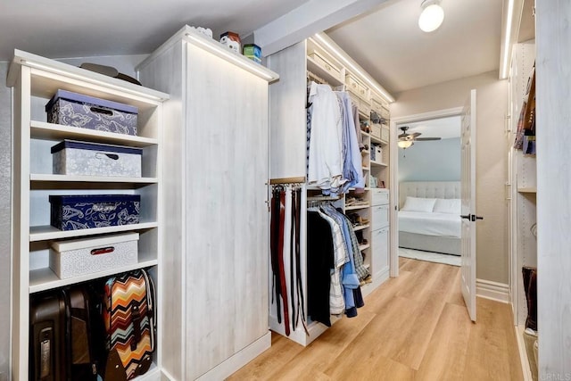 5431 Stirrup Way, Oceanside, CA 92057 - spacious closet featuring light wood-type flooring and a ceiling fan
