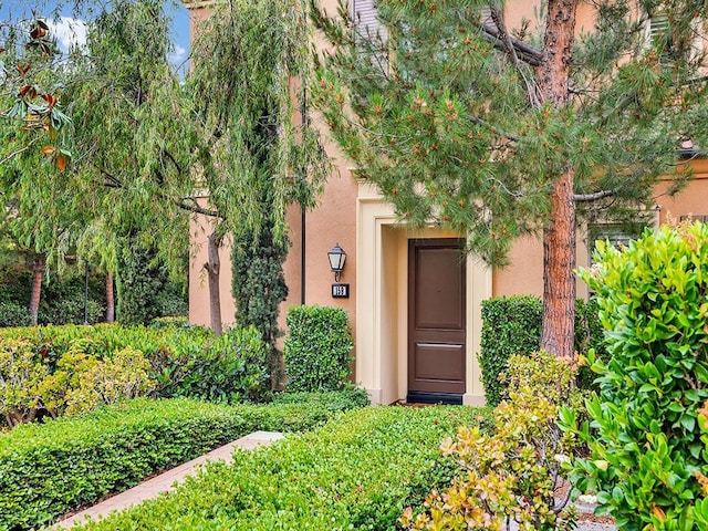 159 Frazier, Irvine, CA 92620 - doorway to property with stucco siding