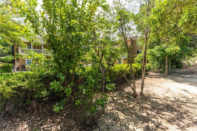 1377 Knoll Rd, Redlands, CA 92373 - view of yard