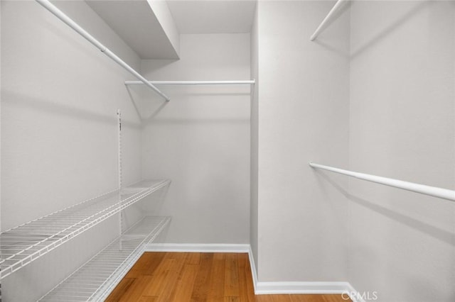 1995 Las Colinas Cir Unit 301, Corona, CA 92879 - walk in closet with wood finished floors