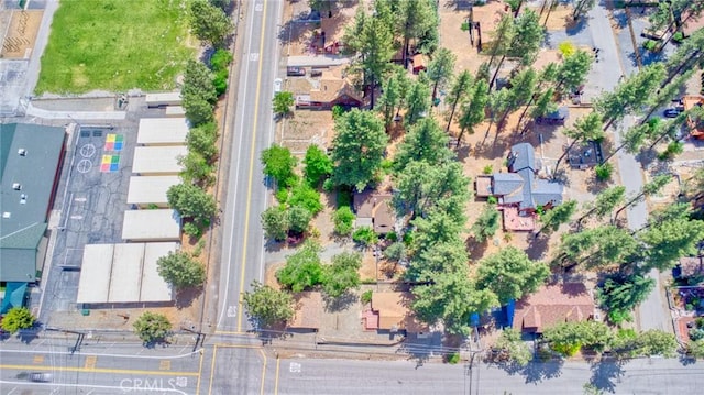 1131 Apple Ave, Wrightwood, CA 92397 - aerial view of property and surrounding area