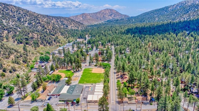 1131 Apple Ave, Wrightwood, CA 92397 - photo 46