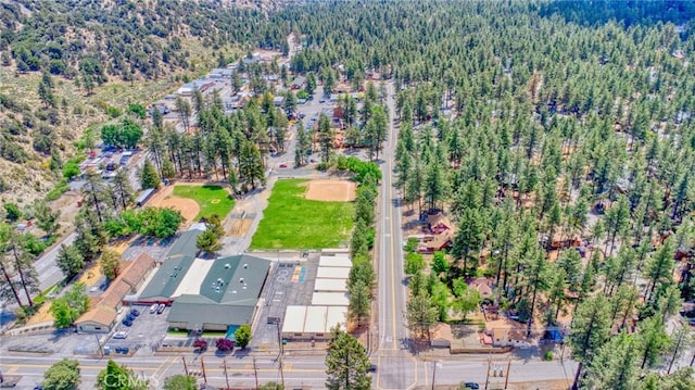 1131 Apple Ave, Wrightwood, CA 92397 - photo 44
