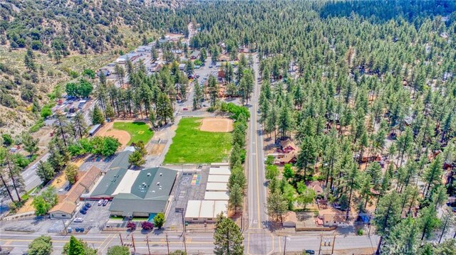 1131 Apple Ave, Wrightwood, CA 92397 - photo 45