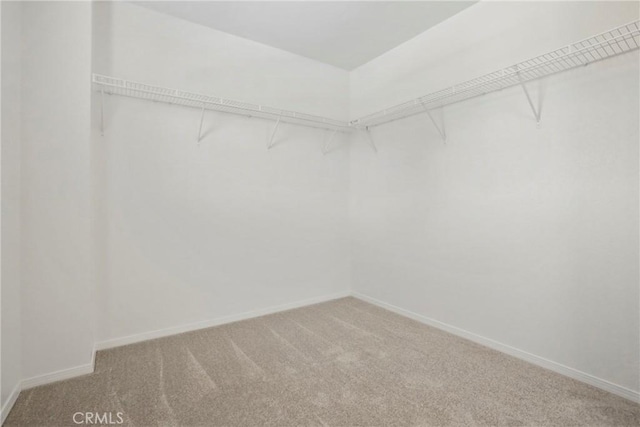 31713 Pompei Ln, Winchester, CA 92596 - walk in closet with light carpet