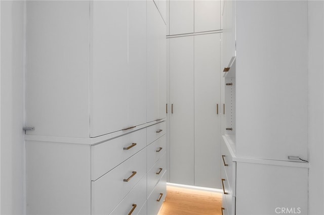 2004 Grant Ave Unit B, Redondo Beach, CA 90278 - spacious closet featuring light wood finished floors
