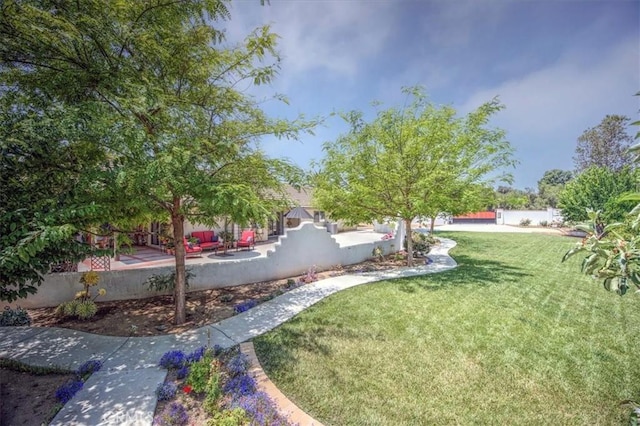 21332 Silver Spur Ln, Wildomar, CA 92595 - view of grassy yard