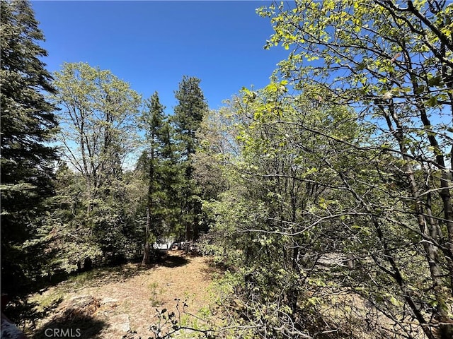 25648 Hi Ln, Twin Peaks, CA 92391 - photo 15