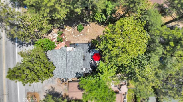 31765 Hilltop Dr, Running Springs, CA 92382 - photo 38