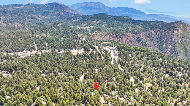 31765 Hilltop Dr, Running Springs, CA 92382 - photo 39