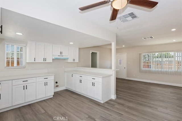 35010 Cedar Rd, Barstow, CA 92311 - kitchen with healthy amount of natural light, under cabinet range hood, wood finished floors, and recessed lighting