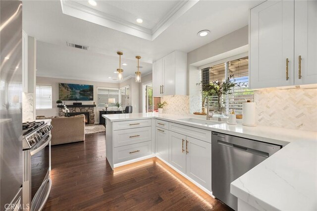5020 Windy Cir, Yorba Linda, CA 92887 - kitchen featuring stainless steel appliances, ornamental molding, a peninsula, open floor plan, and plenty of natural light