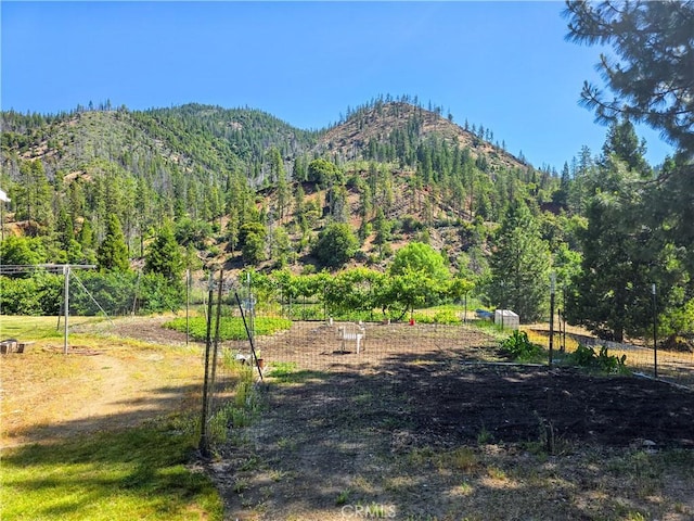 38727 State Highway 96, Klamath River, CA 96050 - view of mountain backdrop featuring a forest