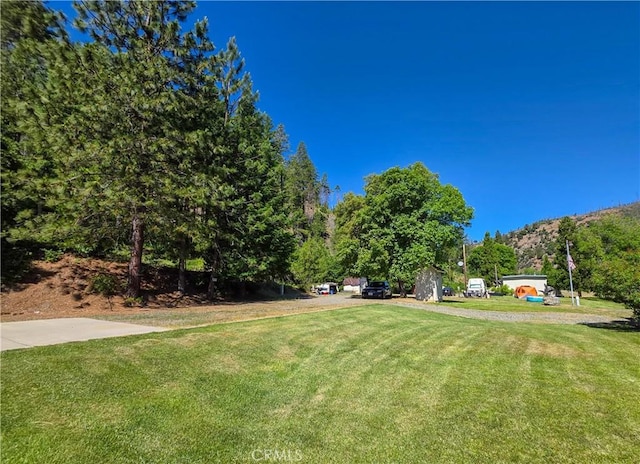 38727 State Highway 96, Klamath River, CA 96050 - view of green lawn