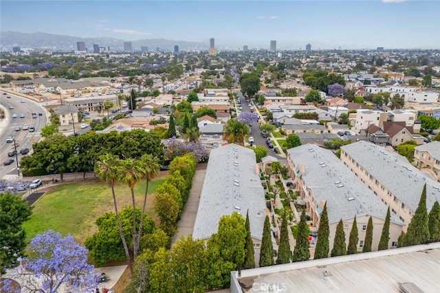 5740 S Glennie Ln Unit C, Los Angeles, CA 90016 - photo 62