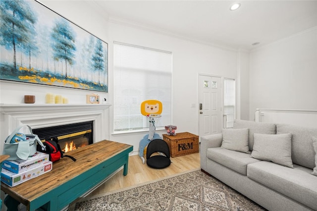 5740 S Glennie Ln Unit C, Los Angeles, CA 90016 - living area featuring crown molding, wood finished floors, a glass covered fireplace, and recessed lighting