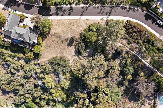10192 Saint Cloud Ln, North Tustin, CA 92705 - photo 41