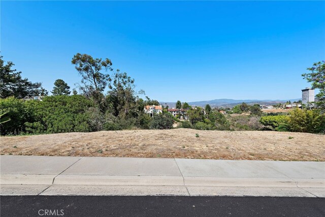 10192 Saint Cloud Ln, North Tustin, CA 92705 - photo 10