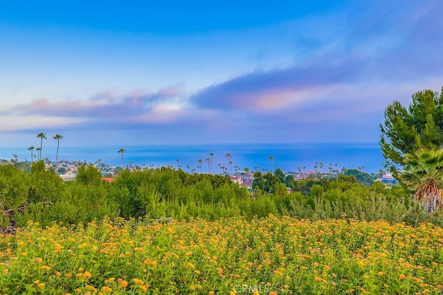 2209 W 25th St Unit 2, San Pedro, CA 90732 - water view