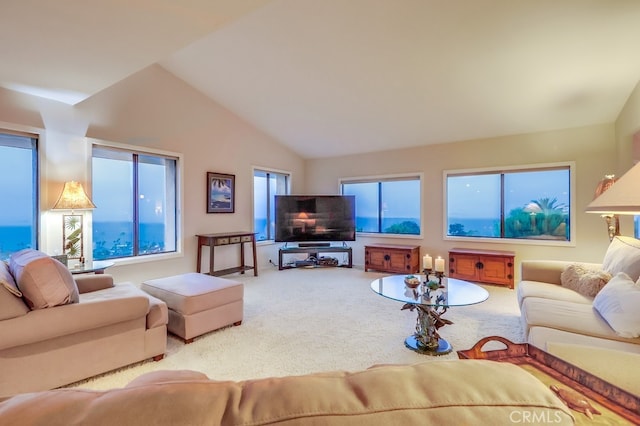 2209 W 25th St Unit 2, San Pedro, CA 90732 - carpeted living area with high vaulted ceiling