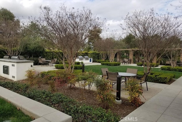 6045 Lyon St, Chino, CA 91710 - view of home's community featuring an outdoor kitchen, outdoor dining area, a patio, and a yard