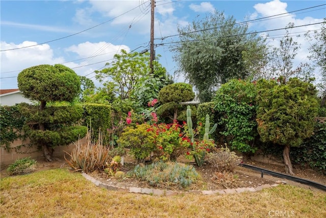 920 Wildrose, Brea, CA 92821 - view of grassy yard