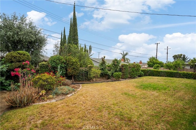 920 Wildrose, Brea, CA 92821 - view of green lawn
