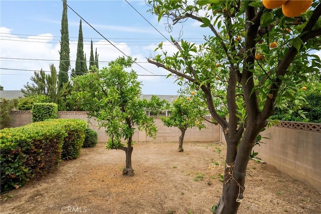 920 Wildrose, Brea, CA 92821 - view of fenced backyard