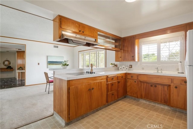 920 Wildrose, Brea, CA 92821 - kitchen featuring black electric cooktop, a peninsula, brown cabinetry, light carpet, and backsplash