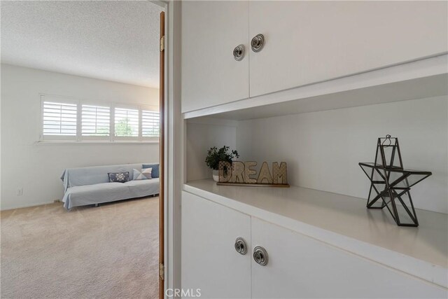 920 Wildrose, Brea, CA 92821 - detailed view of carpet floors and a textured ceiling
