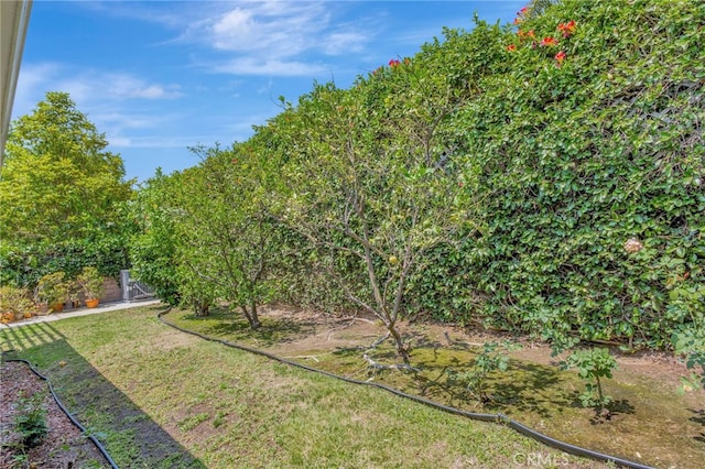 10251 Glade Ave, Chatsworth, CA 91311 - photo 46