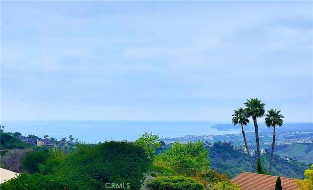 40 Paseo Alba, San Clemente, CA 92672 - photo 32