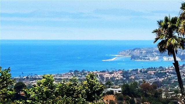 40 Paseo Alba, San Clemente, CA 92672 - photo 5