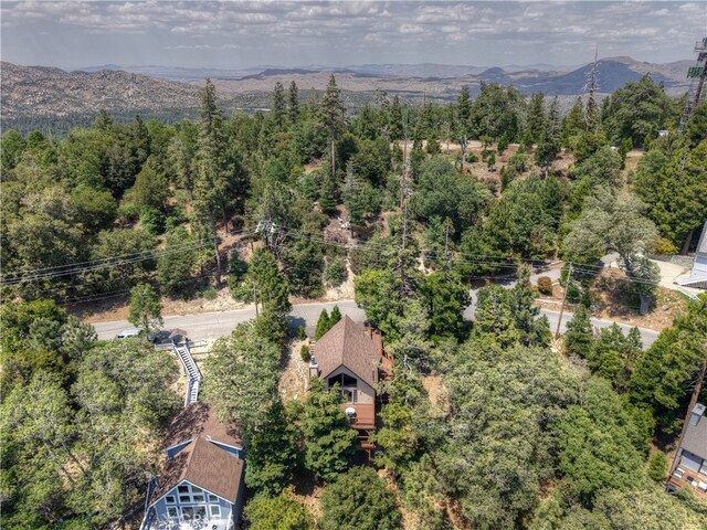 27581 St Bernard, Lake Arrowhead, CA 92352 - photo 51