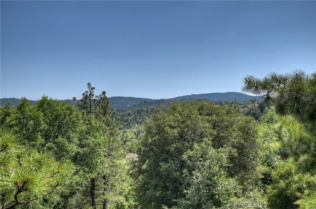27581 St Bernard, Lake Arrowhead, CA 92352 - photo 32