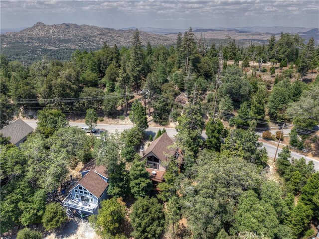 27581 St Bernard, Lake Arrowhead, CA 92352 - photo 52