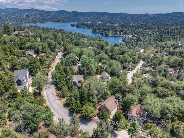 27581 St Bernard, Lake Arrowhead, CA 92352 - photo 49