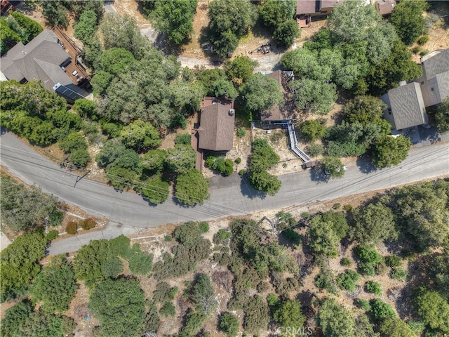 27581 St Bernard, Lake Arrowhead, CA 92352 - photo 48