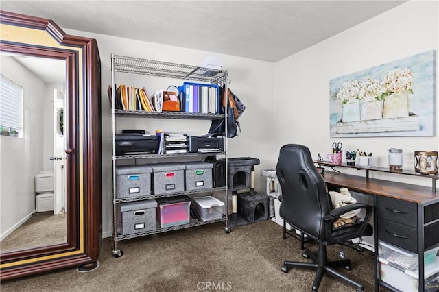 3360 Chico Rd, Atascadero, CA 93422 - view of carpeted office space