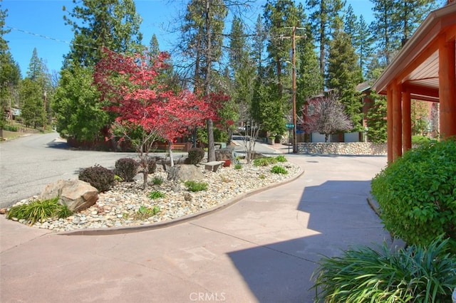 54736 Willow Cove Rd, Bass Lake, CA 93604 - photo 49