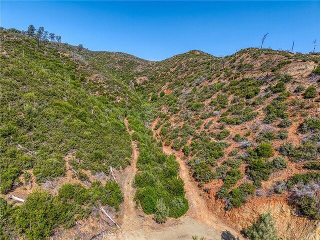 1LOT1 Butts Canyon Rd, Pope Valley, CA 94567 - photo 42